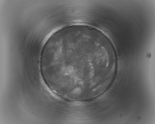 X0000112821333200909111313