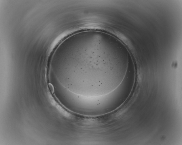 X0000112821334200909111313