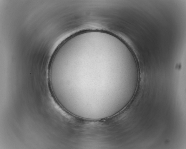 X0000112821335200909111313