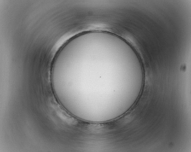 X0000112821336200909111313