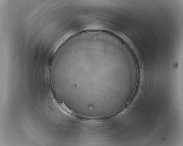 X0000112821337200909111313