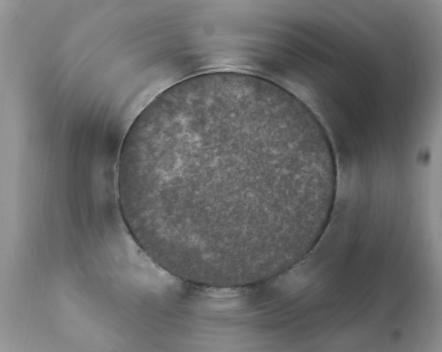 X0000112821338200909111313