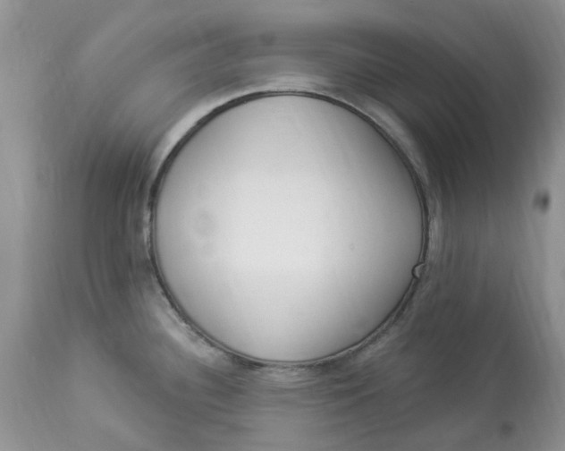 X0000112821340200909111313