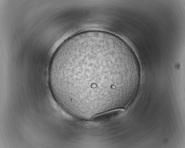 X0000112821341200909111313