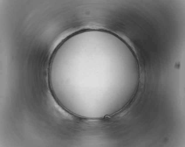 X0000112821343200909111313