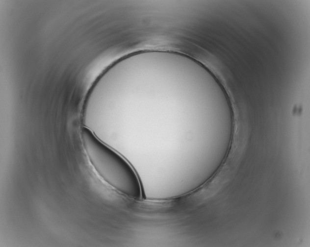 X0000112821344200909111313