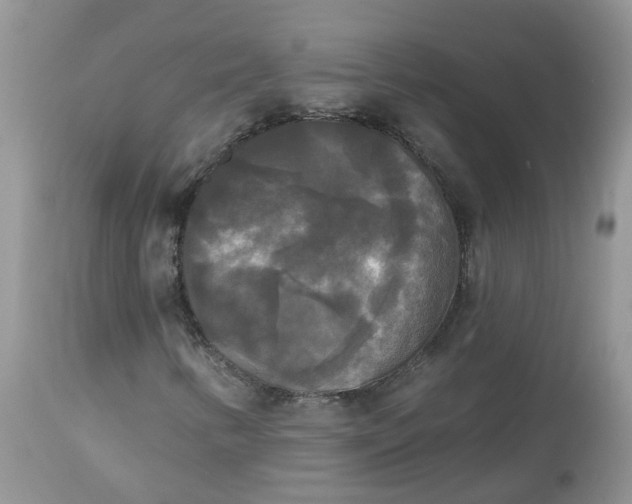 X0000112821346200909111313