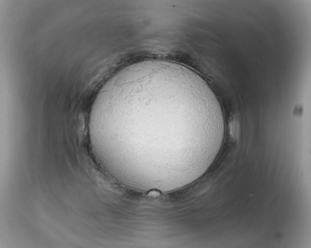 X0000112821347200909111313