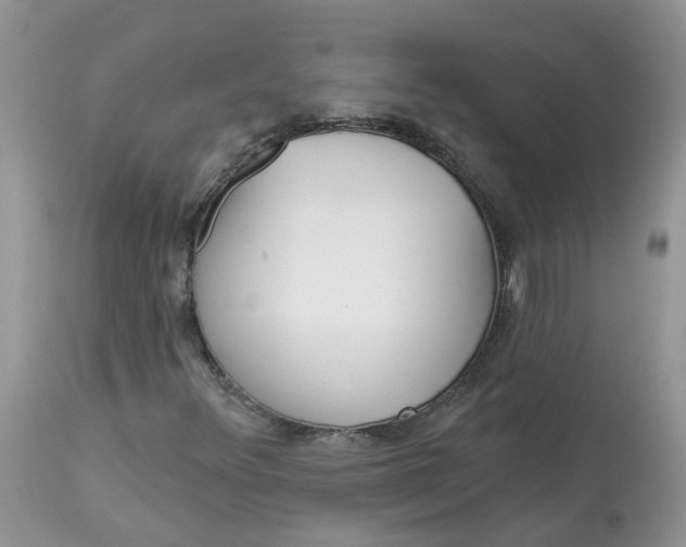 X0000112821348200909111313