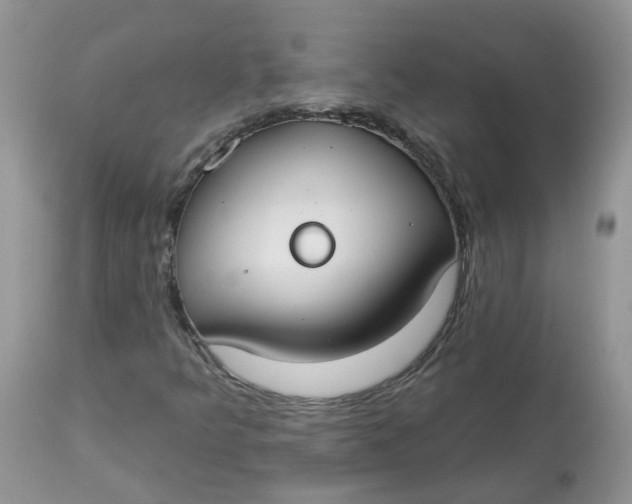 X0000112821349200909111313