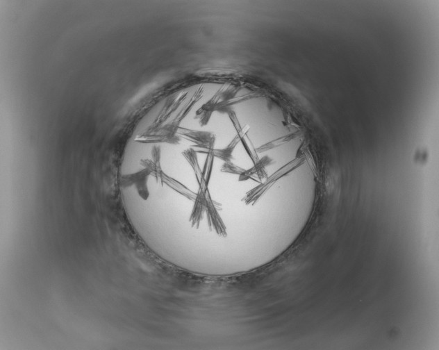 X0000112821350200909111313