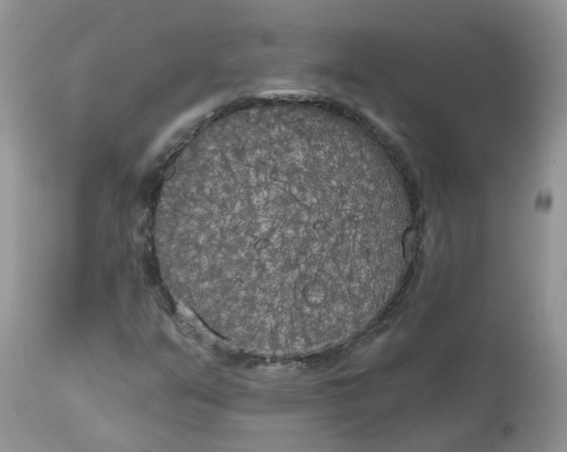 X0000112821351200909111313