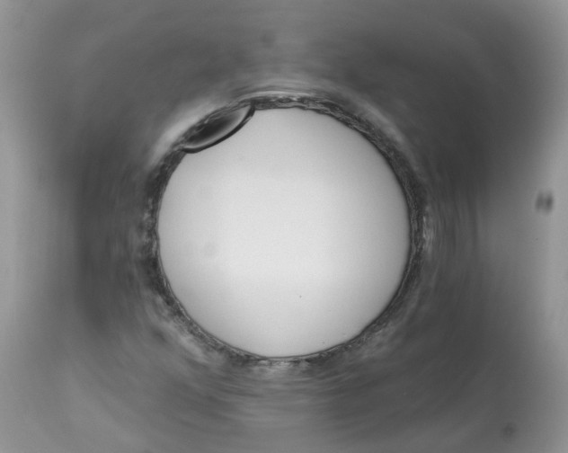 X0000112821352200909111313