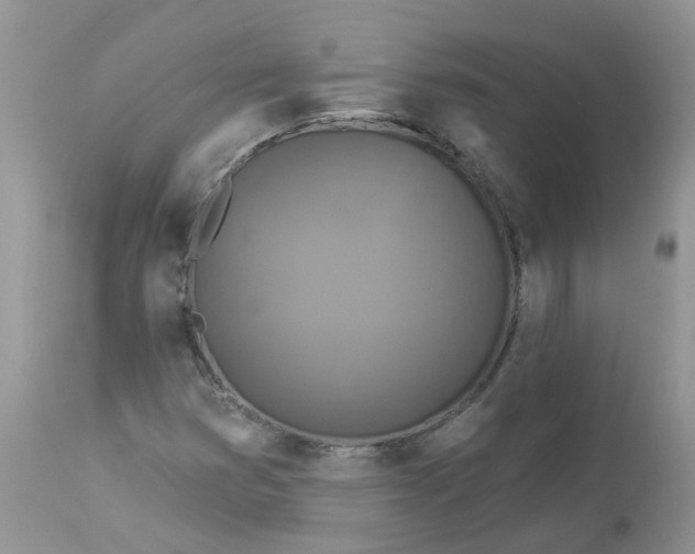 X0000112821353200909111313