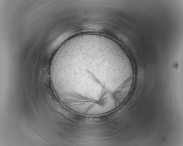 X0000112821354200909111313