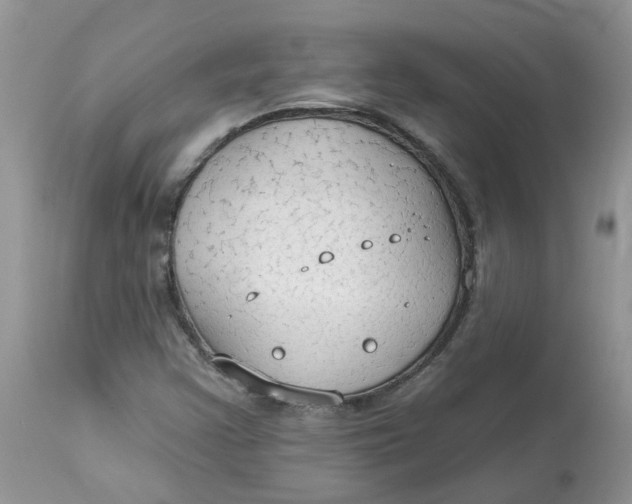 X0000112821355200909111313