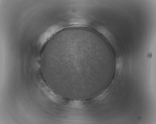 X0000112821357200909111313