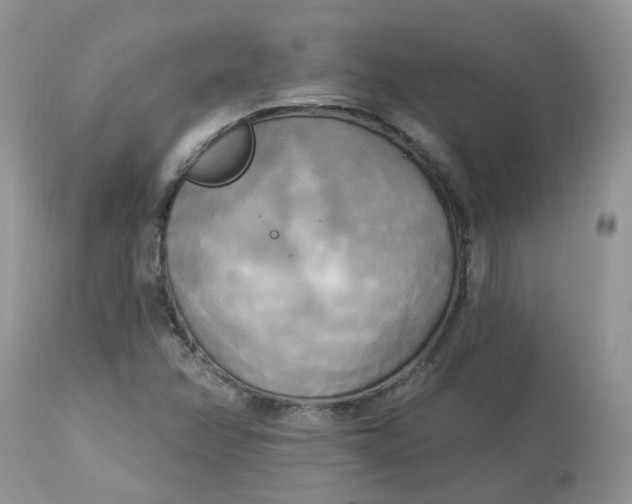 X0000112821358200909111313