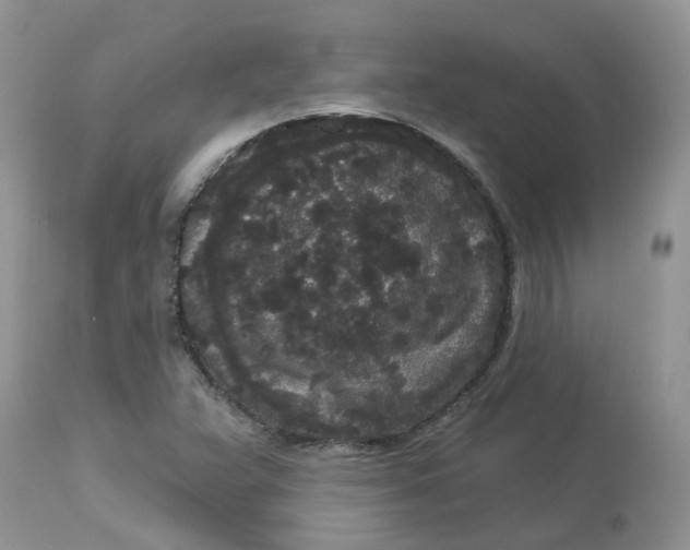 X0000112821359200909111313