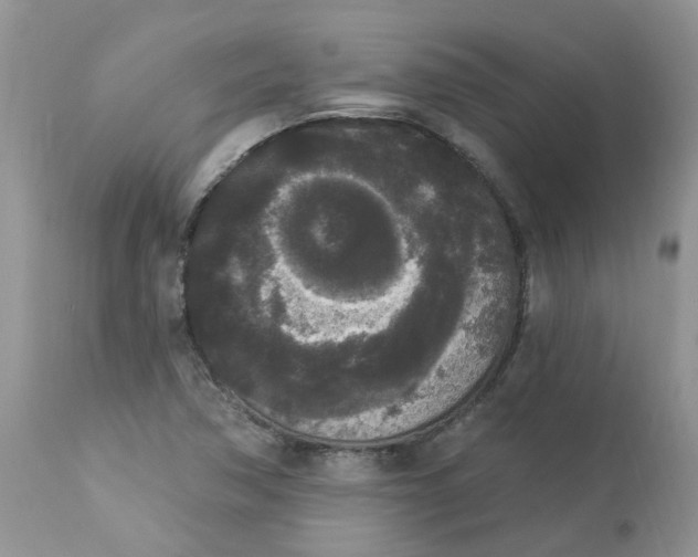 X0000112821362200909111312