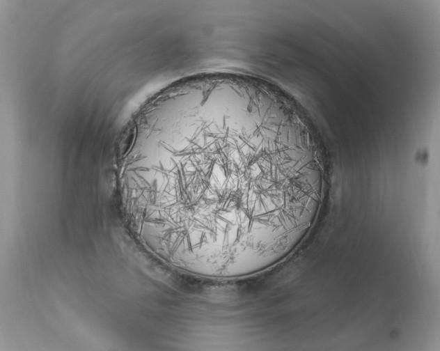 X0000112821363200909111312