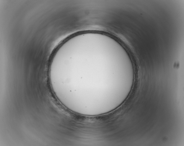 X0000112821364200909111312