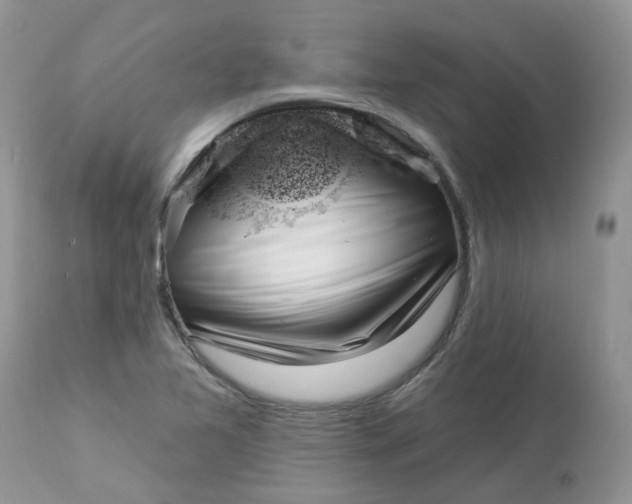 X0000112821365200909111312