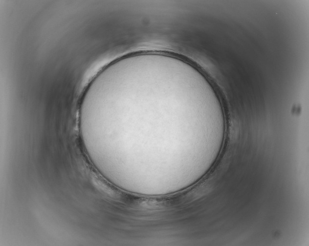 X0000112821366200909111312