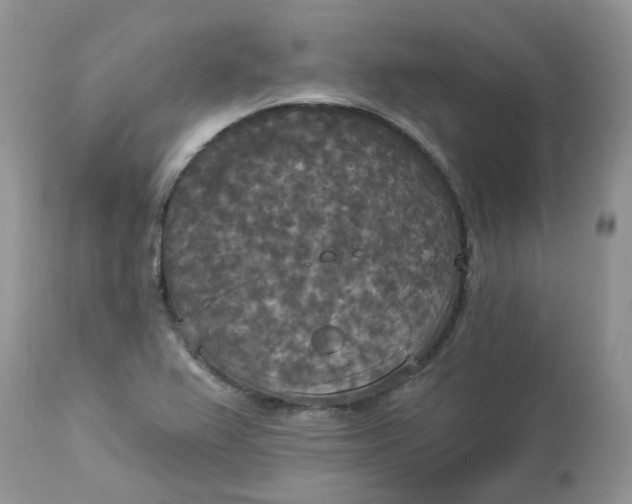 X0000112821367200909111312