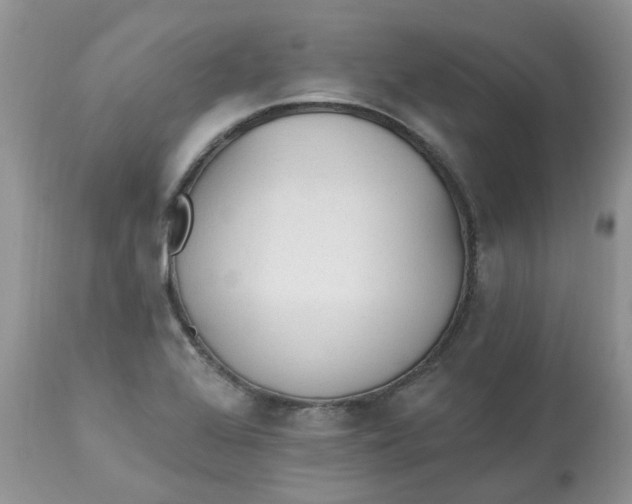 X0000112821368200909111312