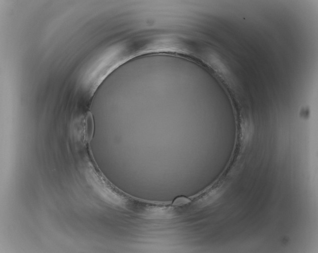 X0000112821369200909111312