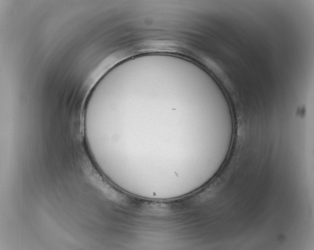 X0000112821370200909111312