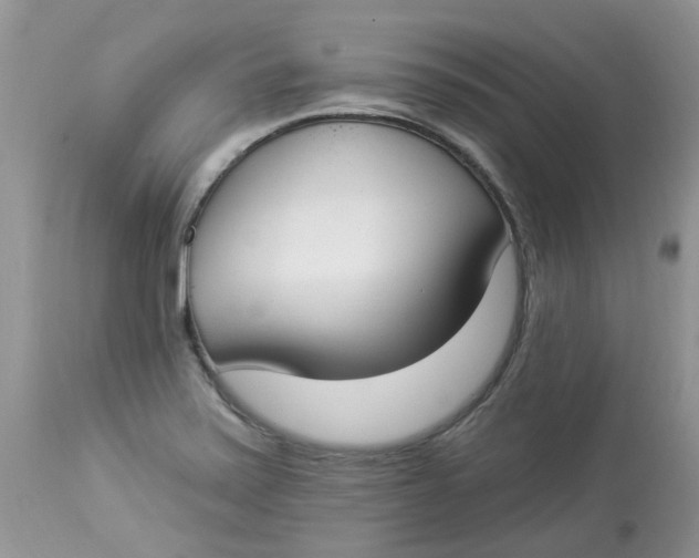 X0000112821371200909111312