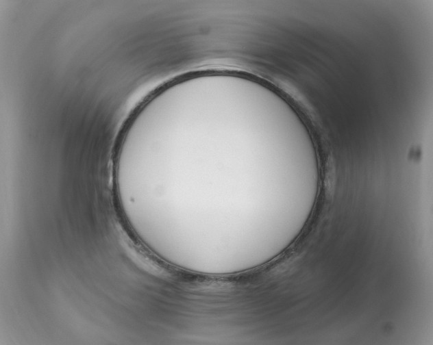 X0000112821372200909111312