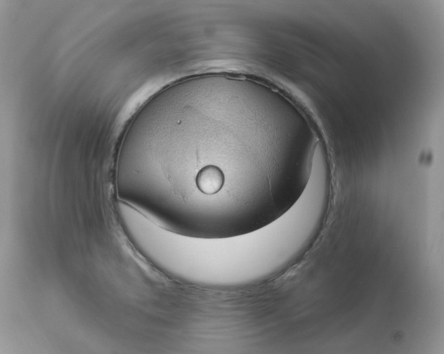 X0000112821373200909111312