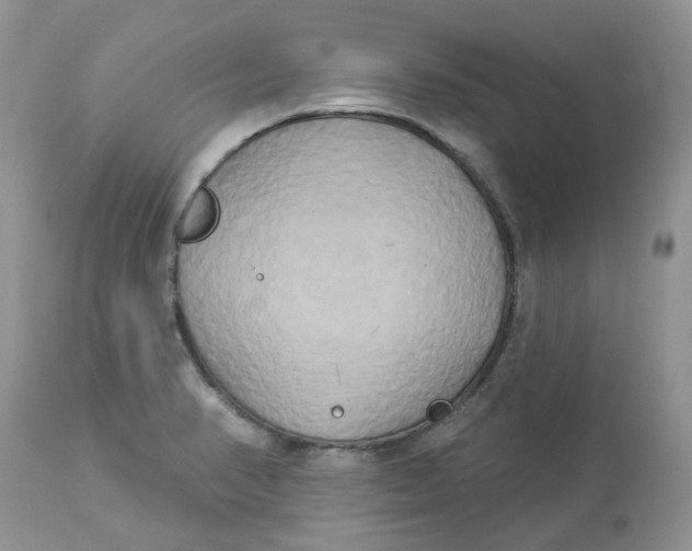 X0000112821374200909111312