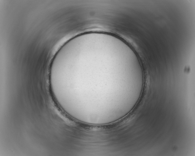 X0000112821375200909111312