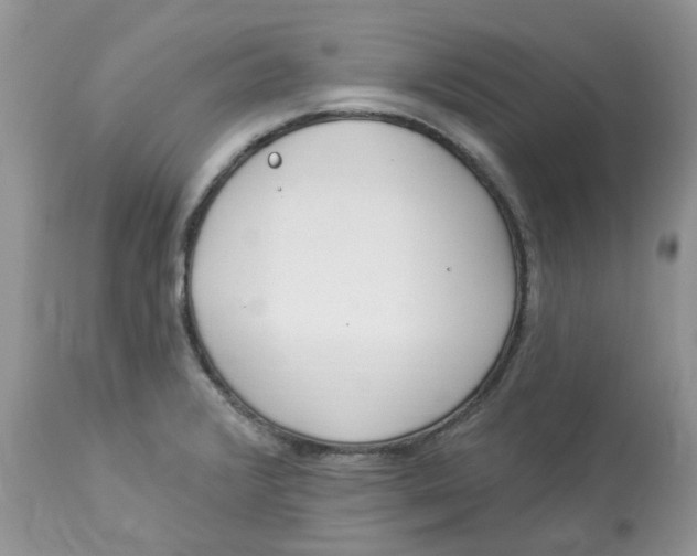 X0000112821376200909111312