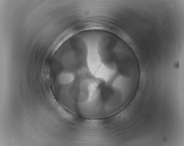 X0000112821377200909111312