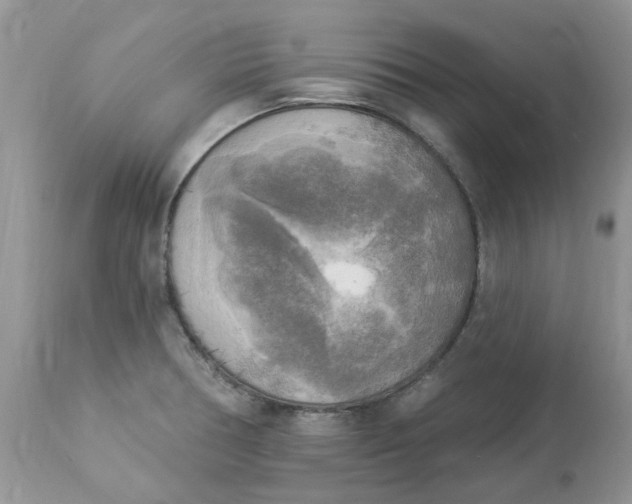 X0000112821378200909111312