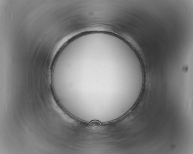 X0000112821380200909111312