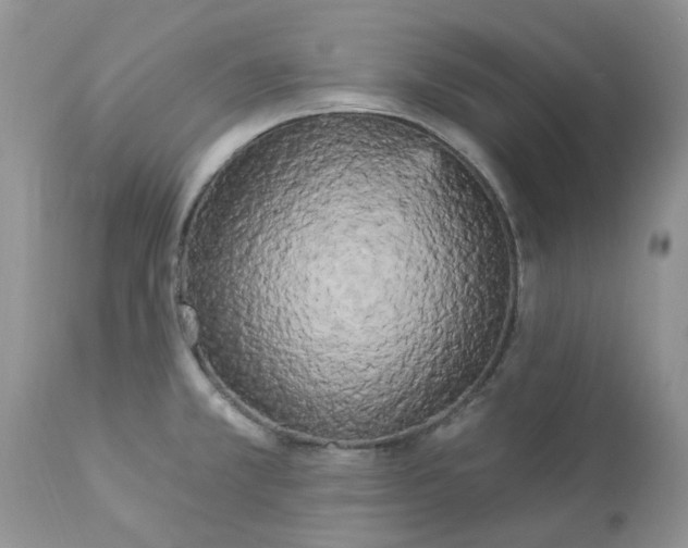 X0000112821381200909111312