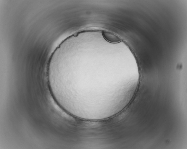 X0000112821382200909111312