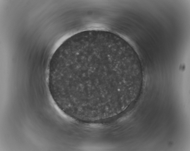 X0000112821383200909111312