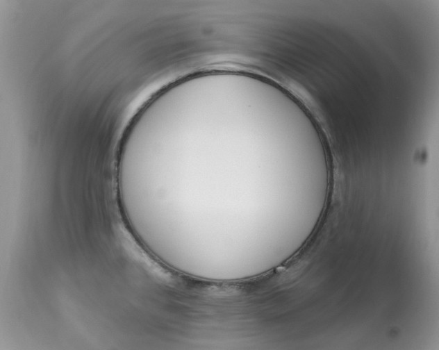 X0000112821384200909111312