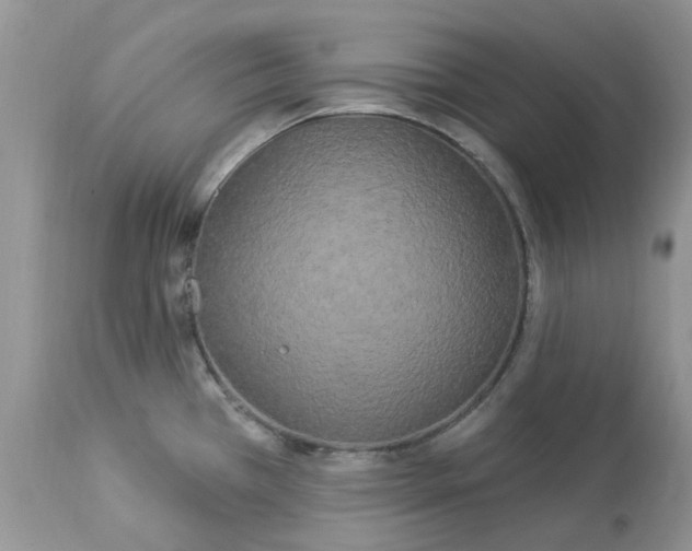 X0000112821385200909111312