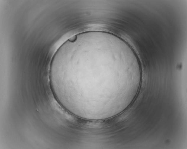 X0000112821386200909111312