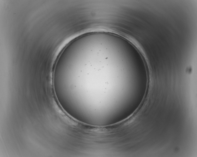 X0000112821388200909111312