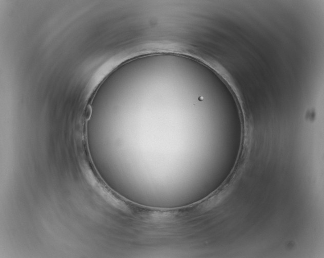 X0000112821389200909111312