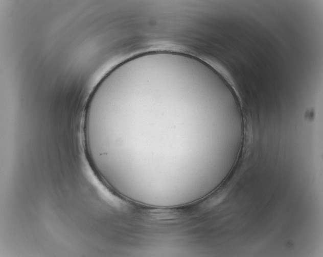 X0000112821391200909111312